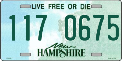 NH license plate 1170675
