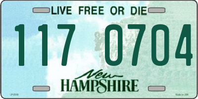 NH license plate 1170704
