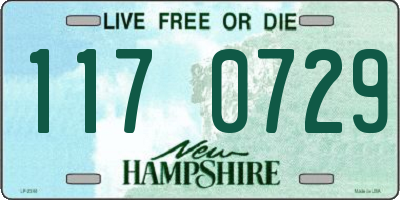 NH license plate 1170729