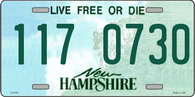 NH license plate 1170730