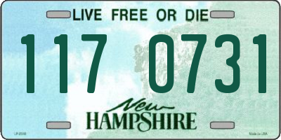 NH license plate 1170731