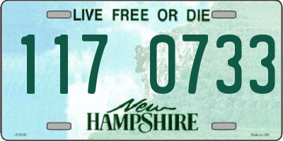 NH license plate 1170733