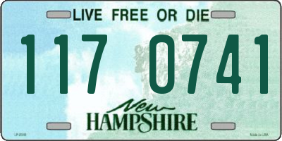 NH license plate 1170741