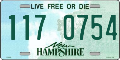 NH license plate 1170754
