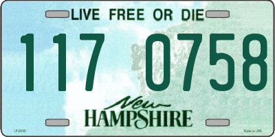 NH license plate 1170758