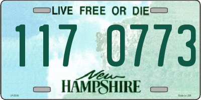 NH license plate 1170773