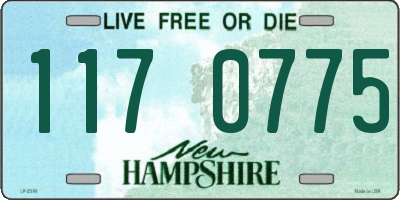 NH license plate 1170775