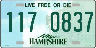 NH license plate 1170837