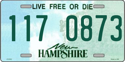 NH license plate 1170873