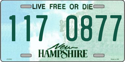 NH license plate 1170877