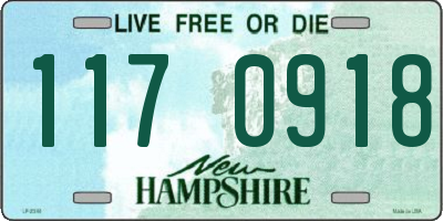 NH license plate 1170918