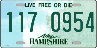 NH license plate 1170954