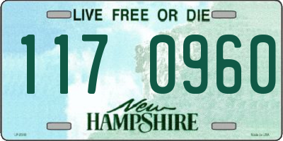 NH license plate 1170960