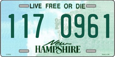 NH license plate 1170961