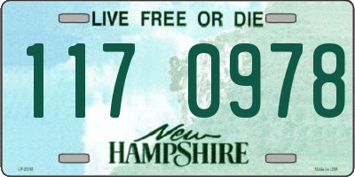NH license plate 1170978