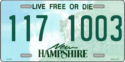 NH license plate 1171003