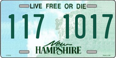NH license plate 1171017