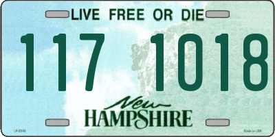NH license plate 1171018