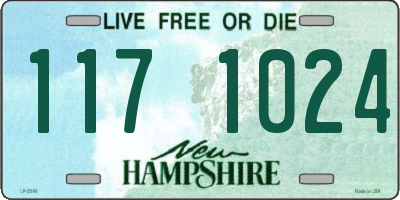 NH license plate 1171024