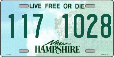 NH license plate 1171028
