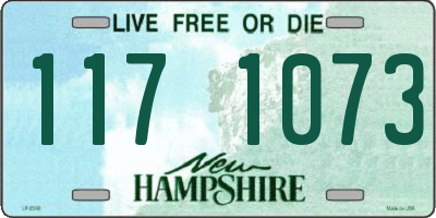 NH license plate 1171073
