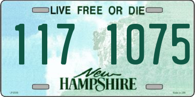NH license plate 1171075