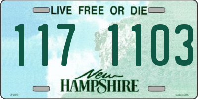 NH license plate 1171103