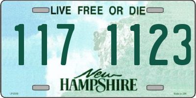 NH license plate 1171123