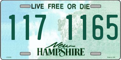 NH license plate 1171165