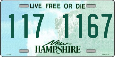 NH license plate 1171167