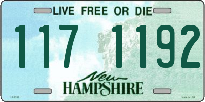 NH license plate 1171192