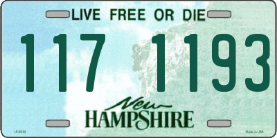 NH license plate 1171193