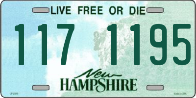 NH license plate 1171195