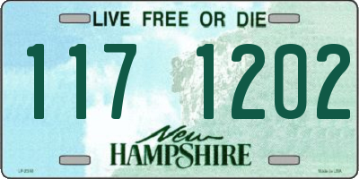 NH license plate 1171202