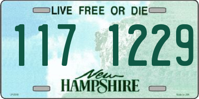 NH license plate 1171229