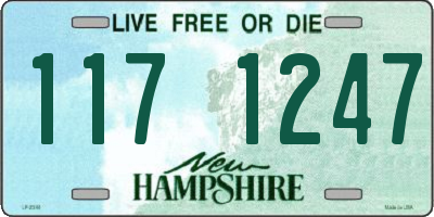 NH license plate 1171247