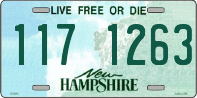 NH license plate 1171263