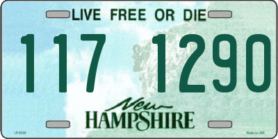NH license plate 1171290