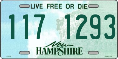NH license plate 1171293