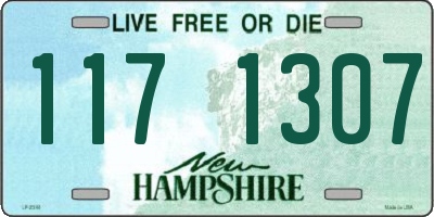 NH license plate 1171307