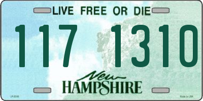 NH license plate 1171310