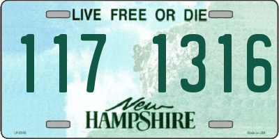 NH license plate 1171316