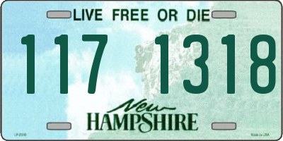 NH license plate 1171318