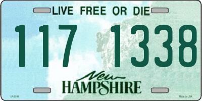 NH license plate 1171338