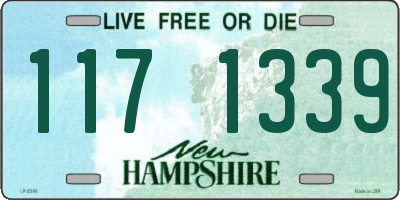 NH license plate 1171339