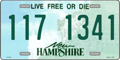 NH license plate 1171341