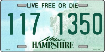 NH license plate 1171350
