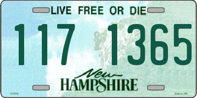 NH license plate 1171365