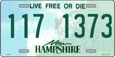 NH license plate 1171373