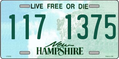 NH license plate 1171375